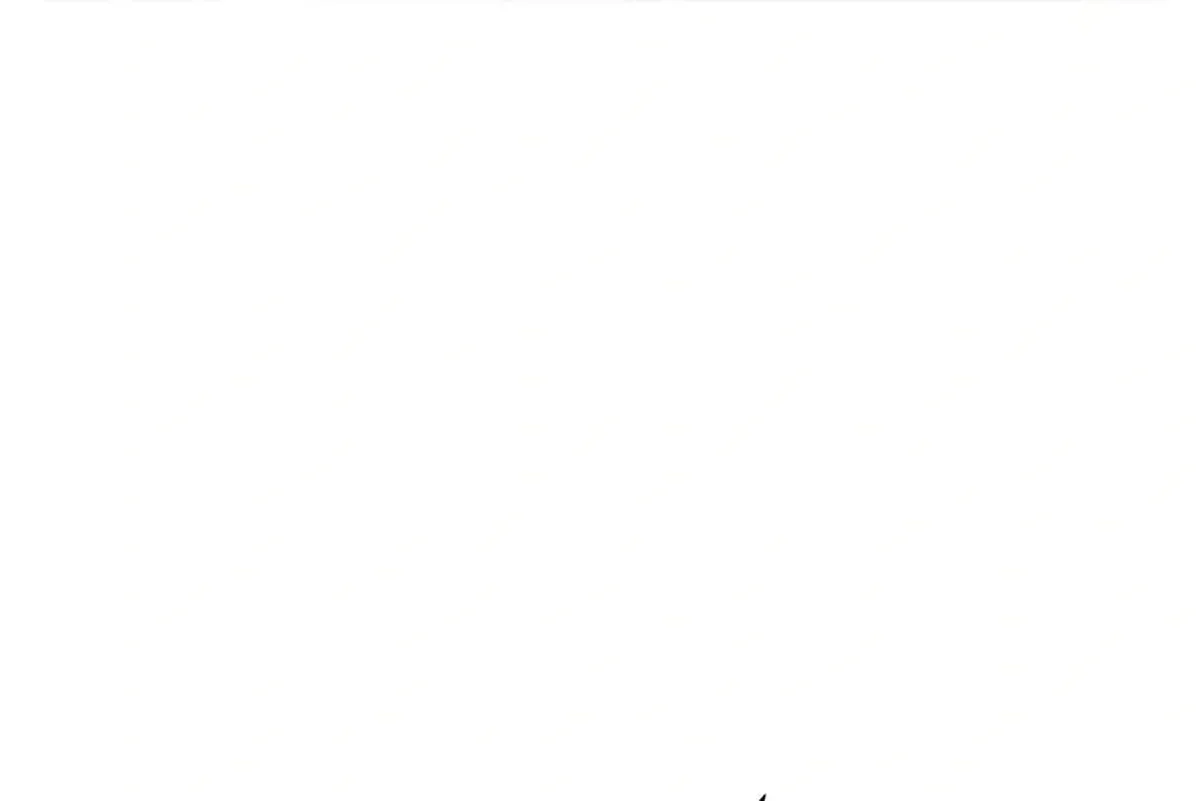Página 41