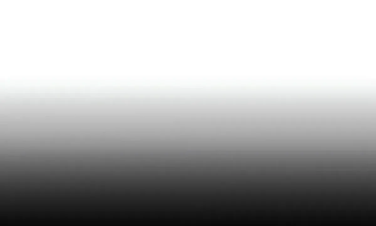Página 102
