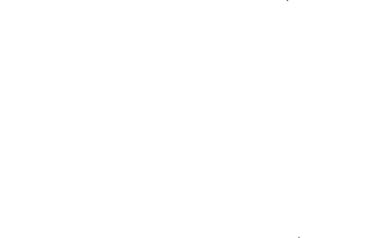 Página 131