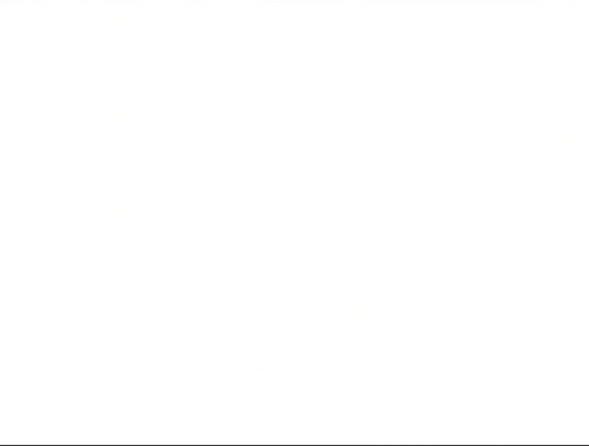 Página 207