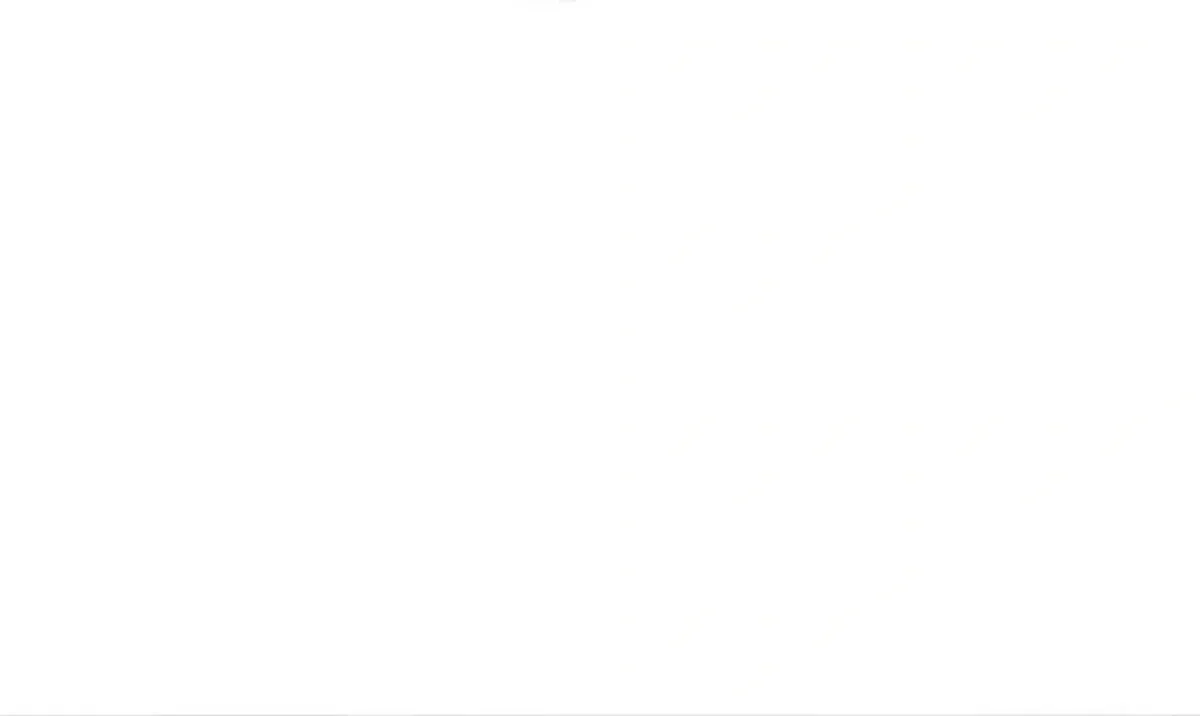 Página 49