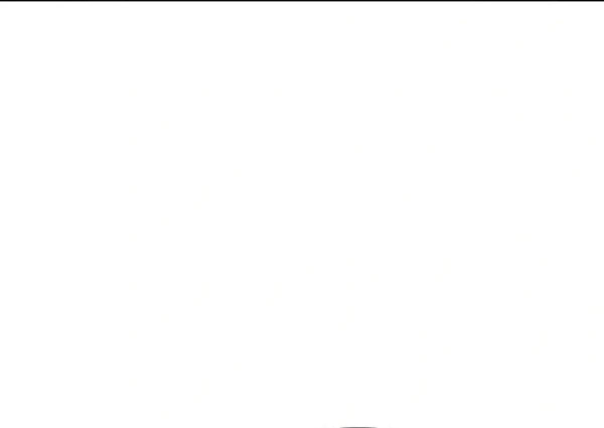 Página 54
