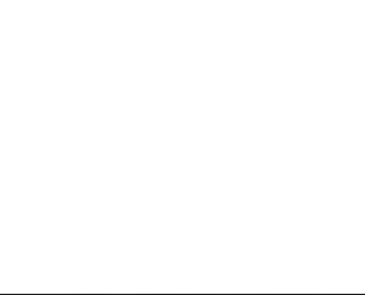 Página 62