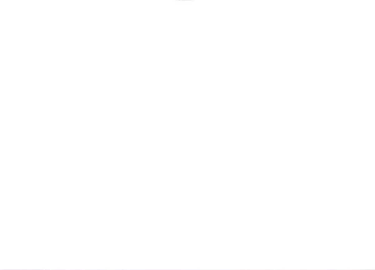 Página 47