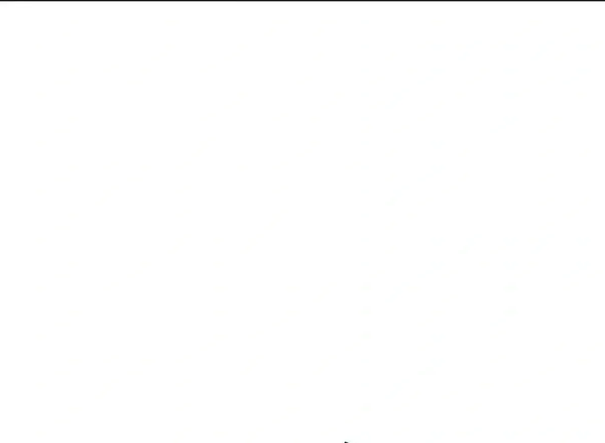Página 105