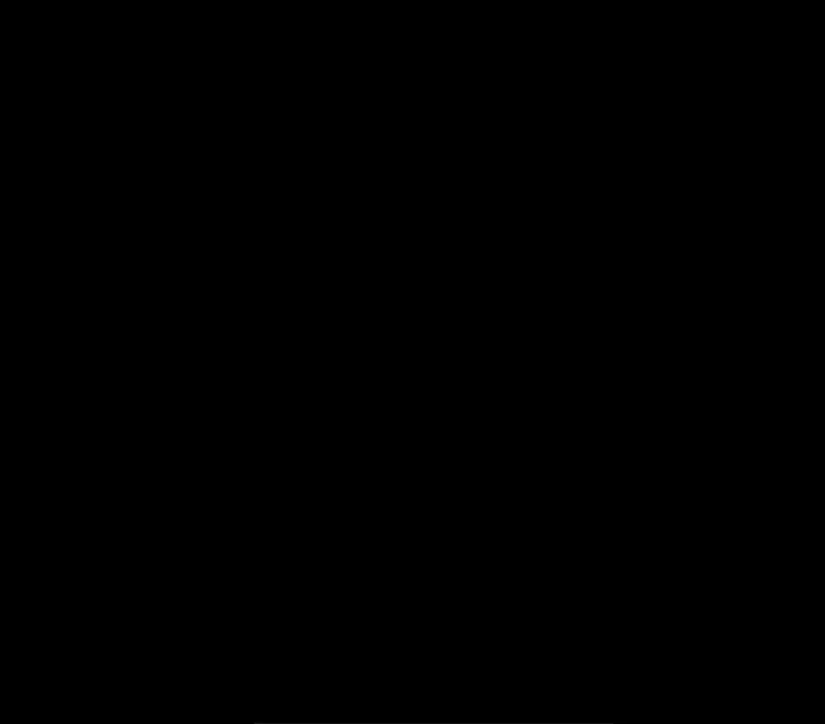 Página 116