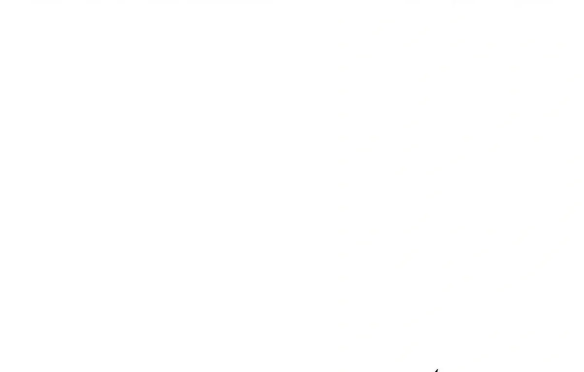Página 104