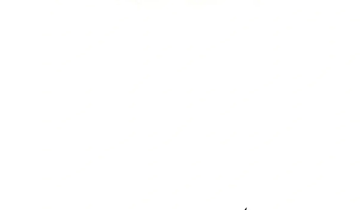 Página 62