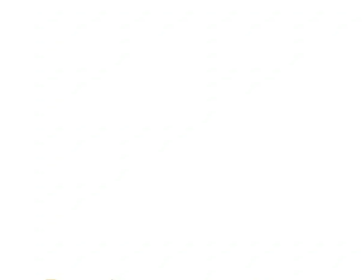 Página 65