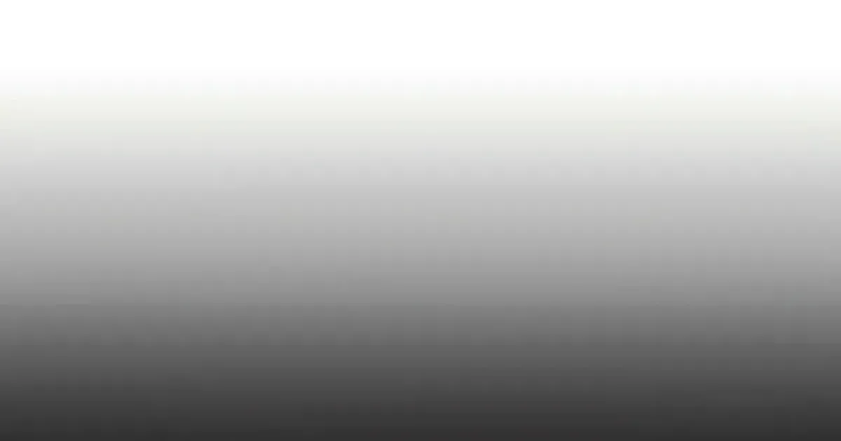 Página 64