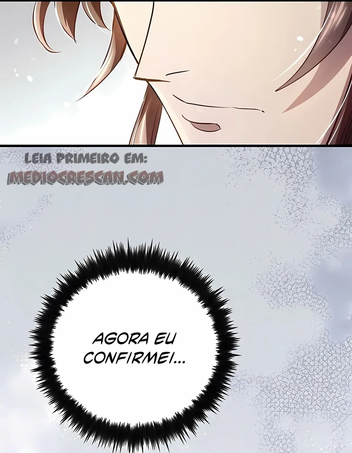 Página 113