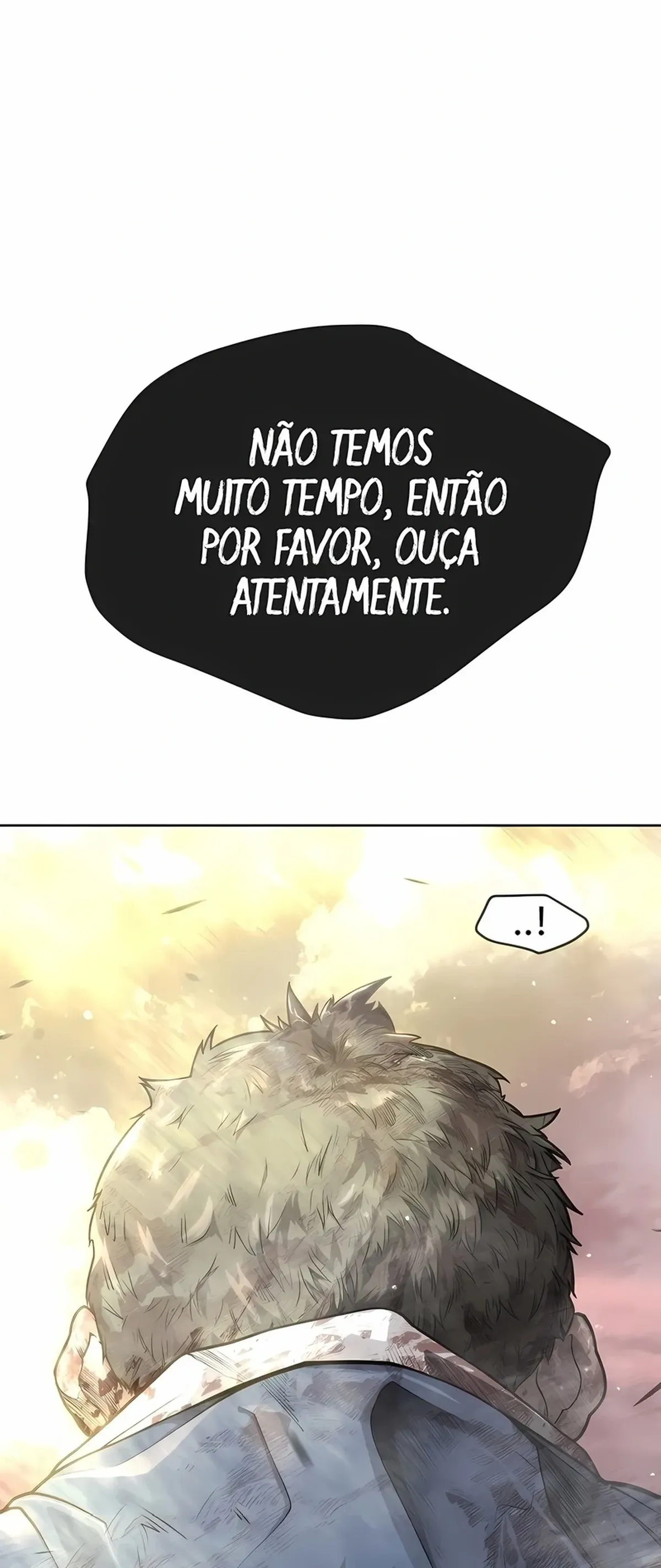 Página 102