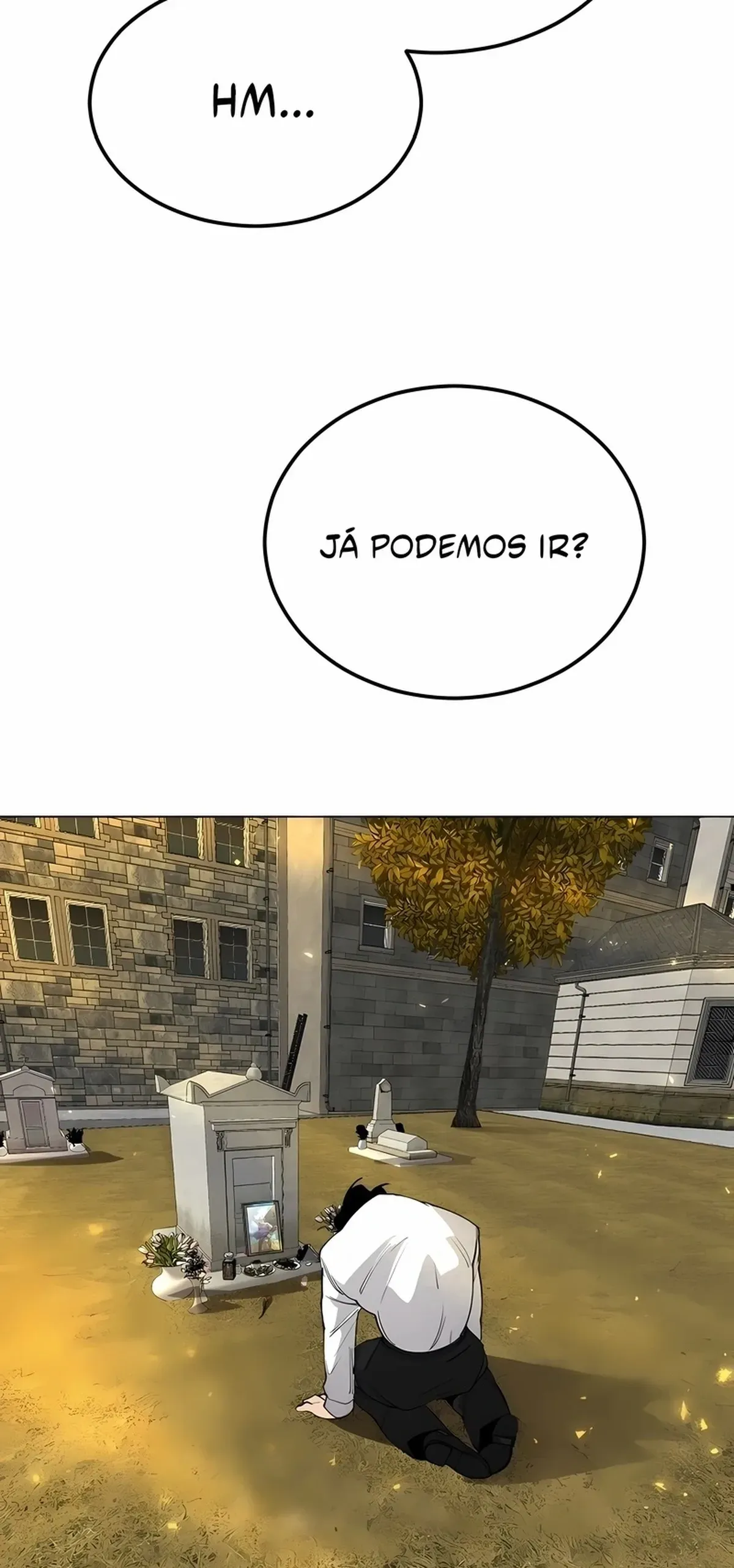 Página 100