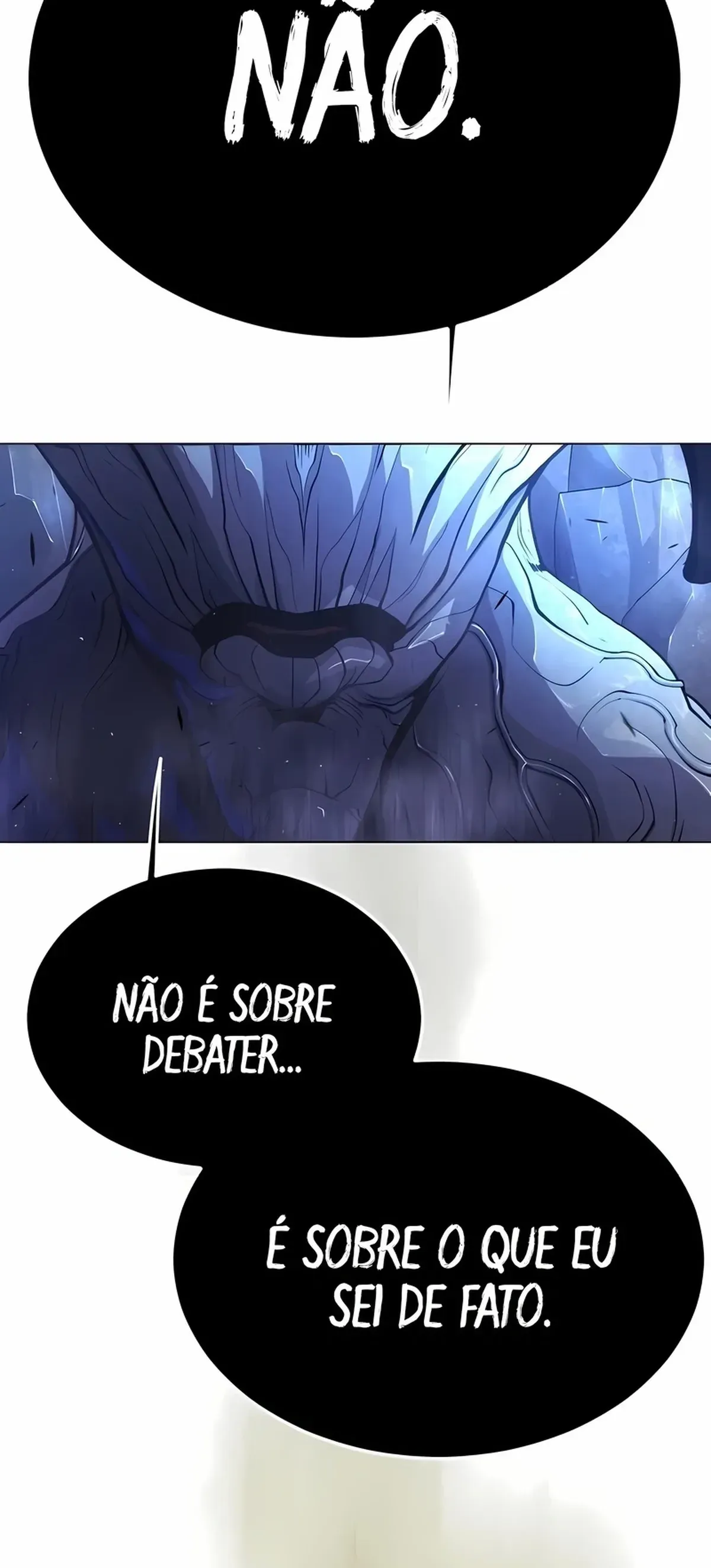 Página 116