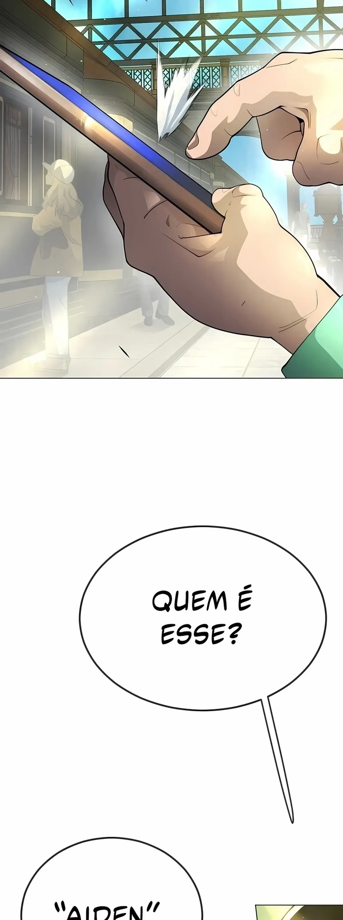 Página 113