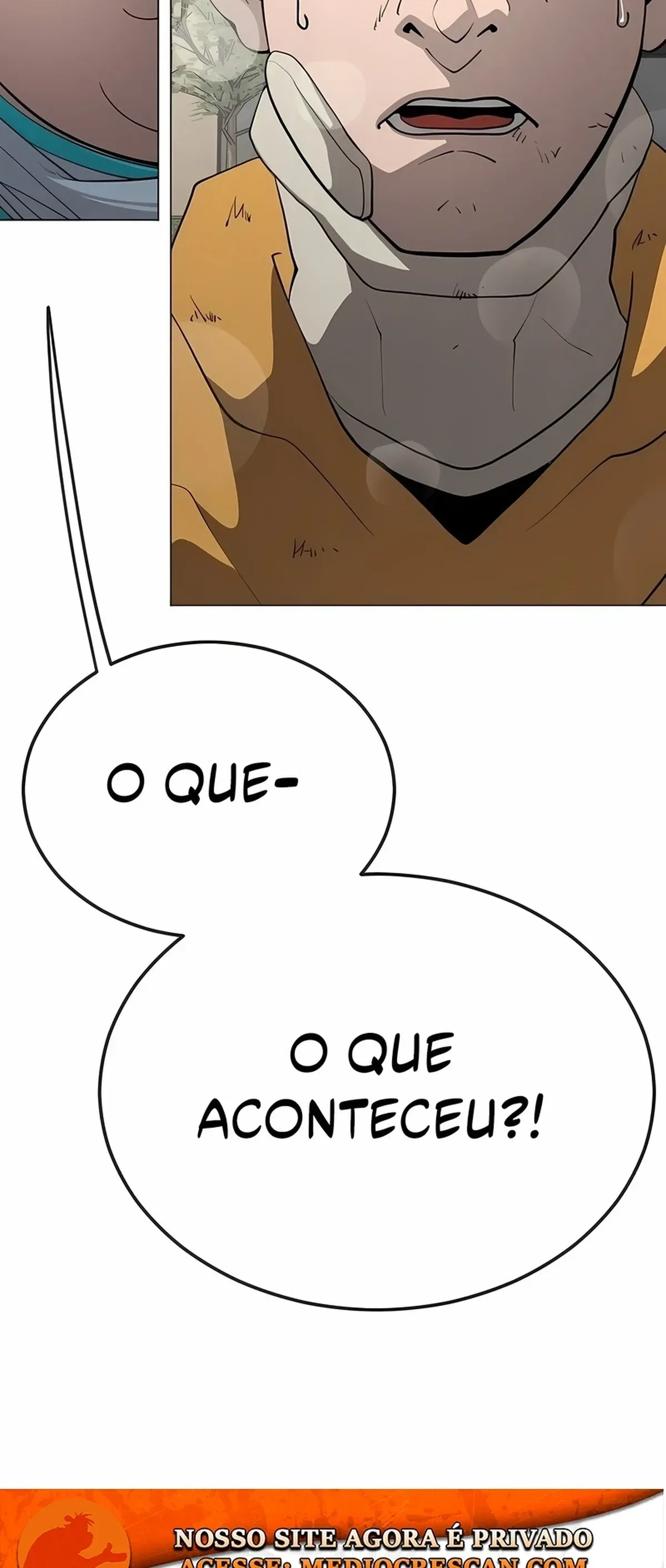 Página 113