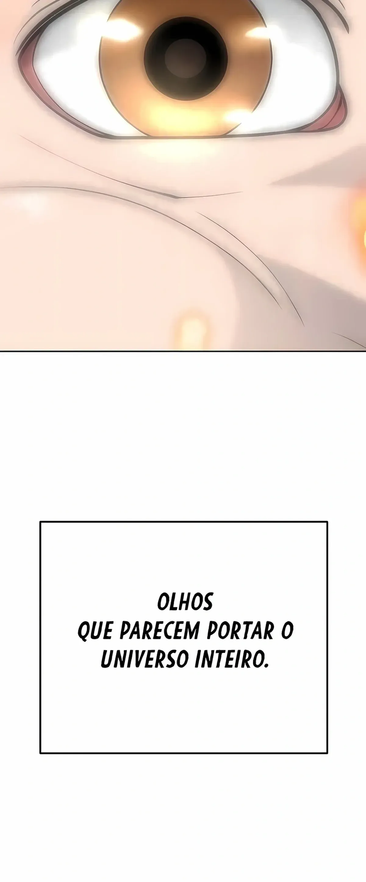 Página 102