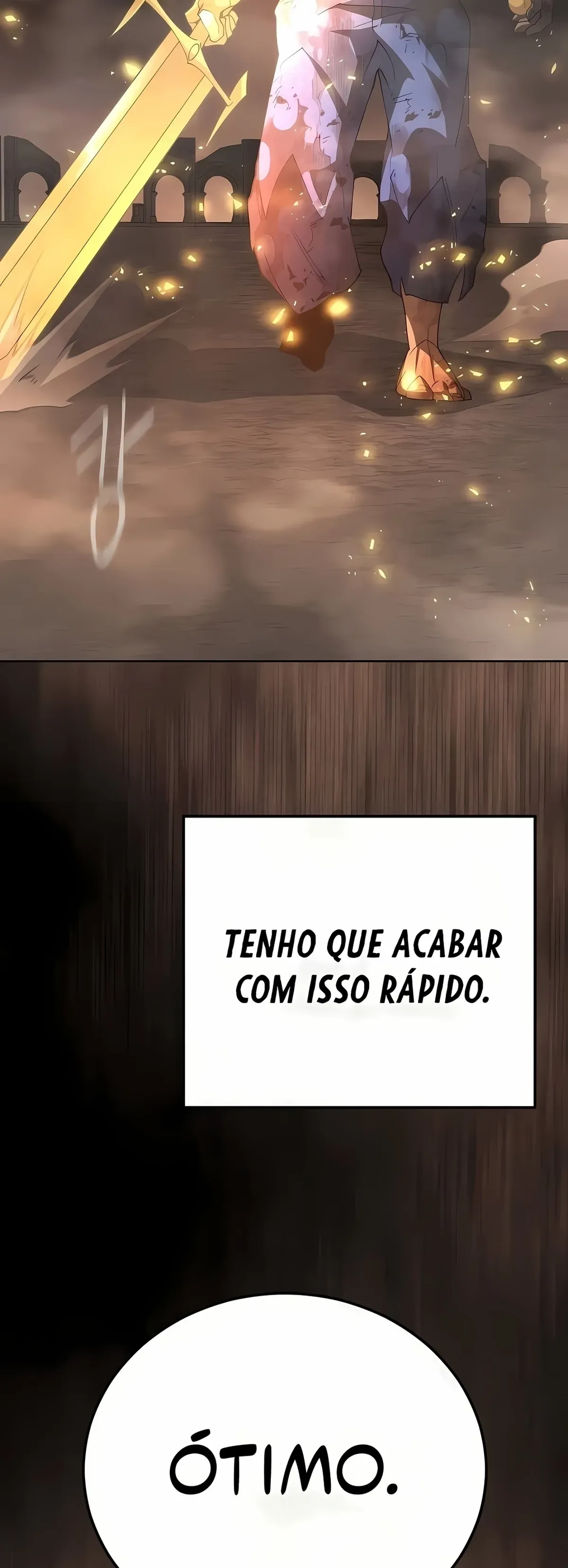 Página 113