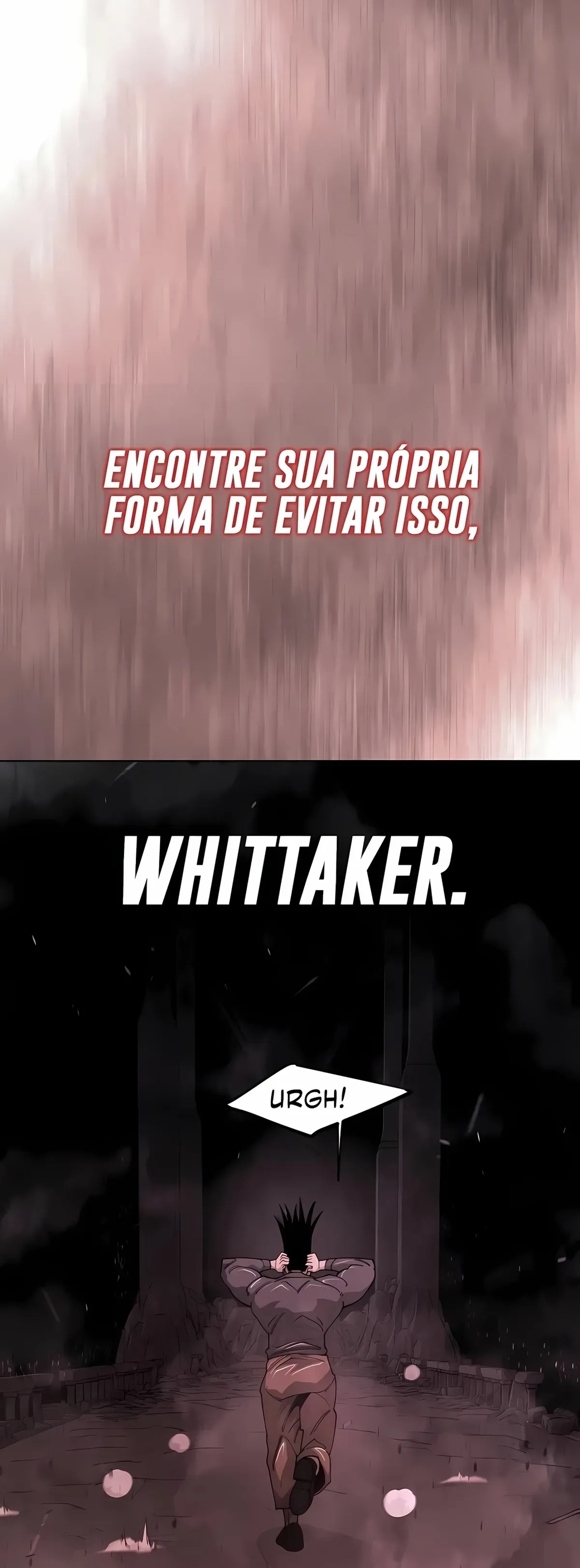 Página 106