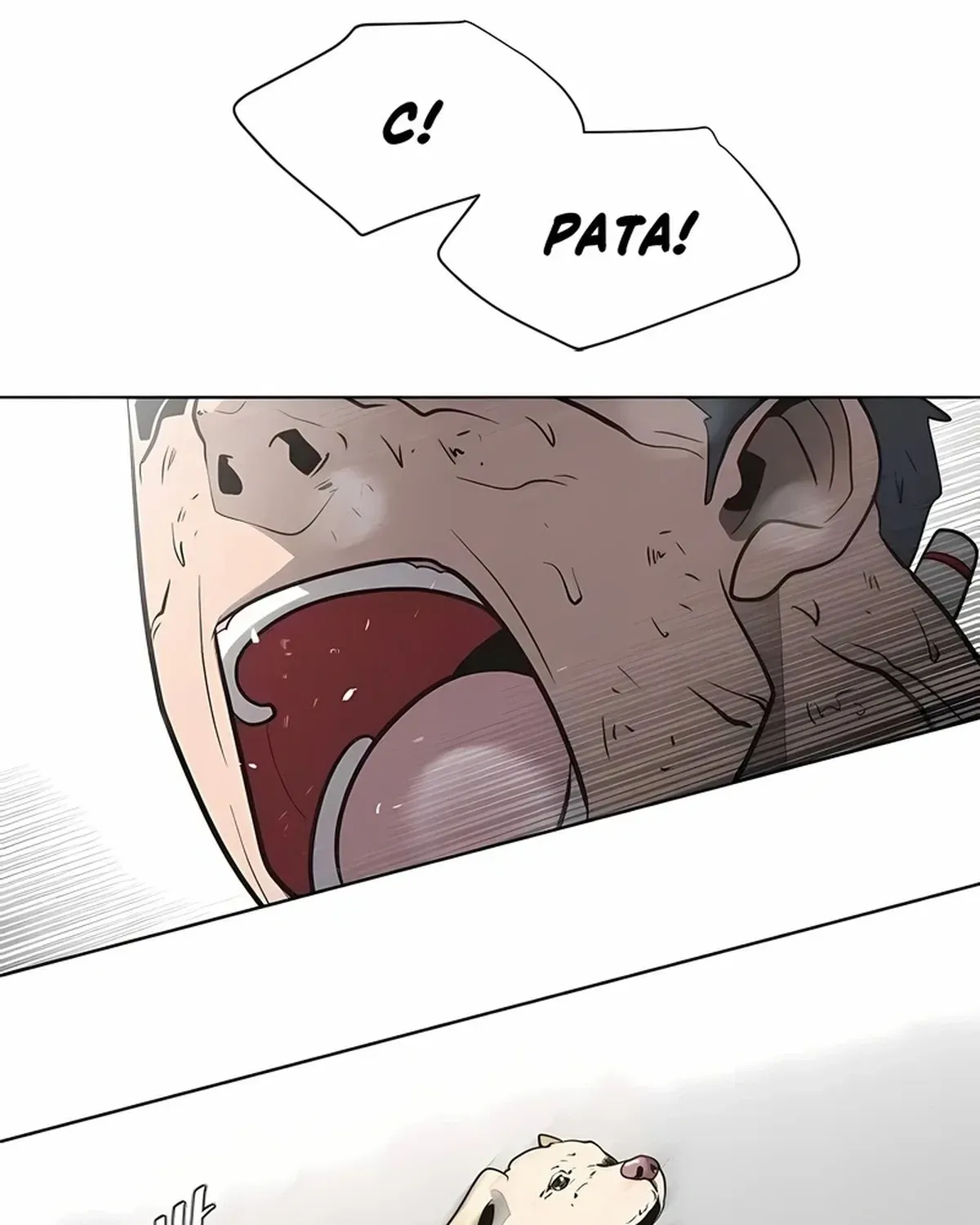 Página 81