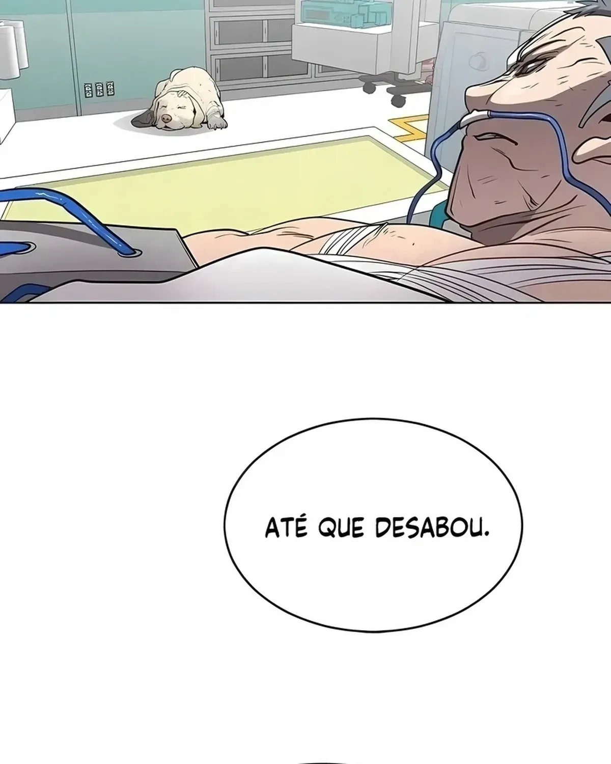 Página 29