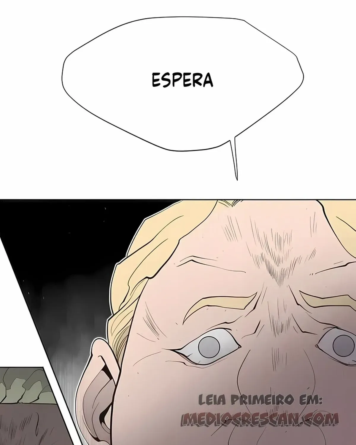 Página 79