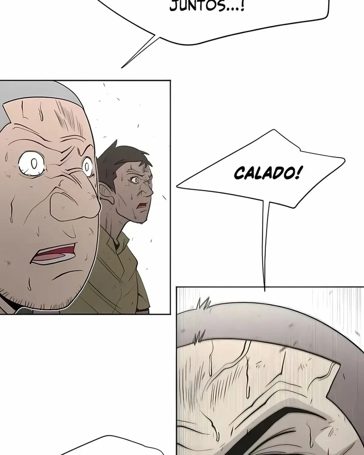 Página 81