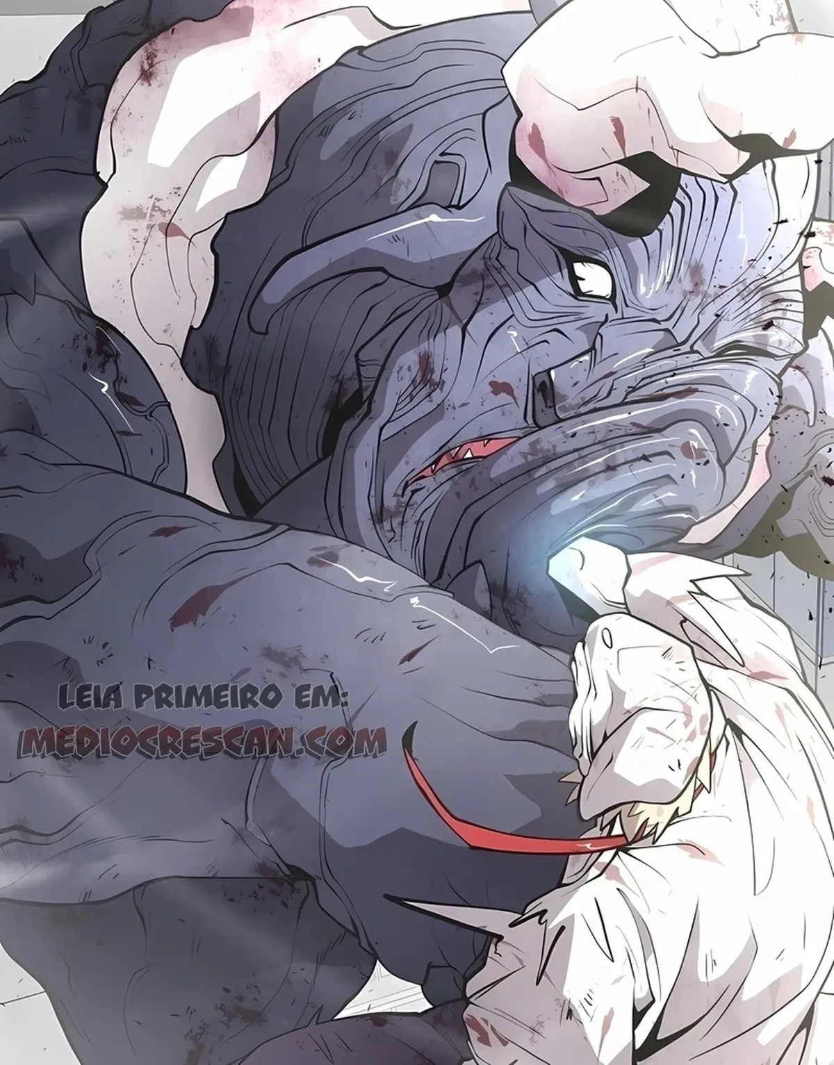 Página 17