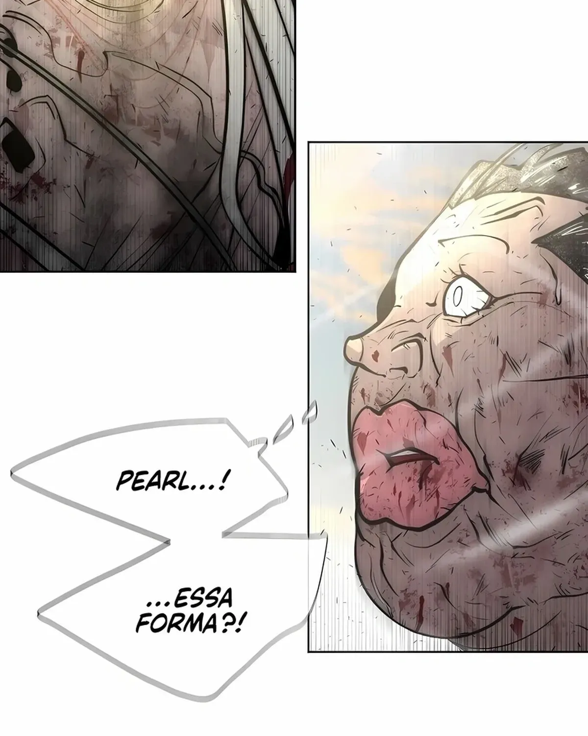Página 116