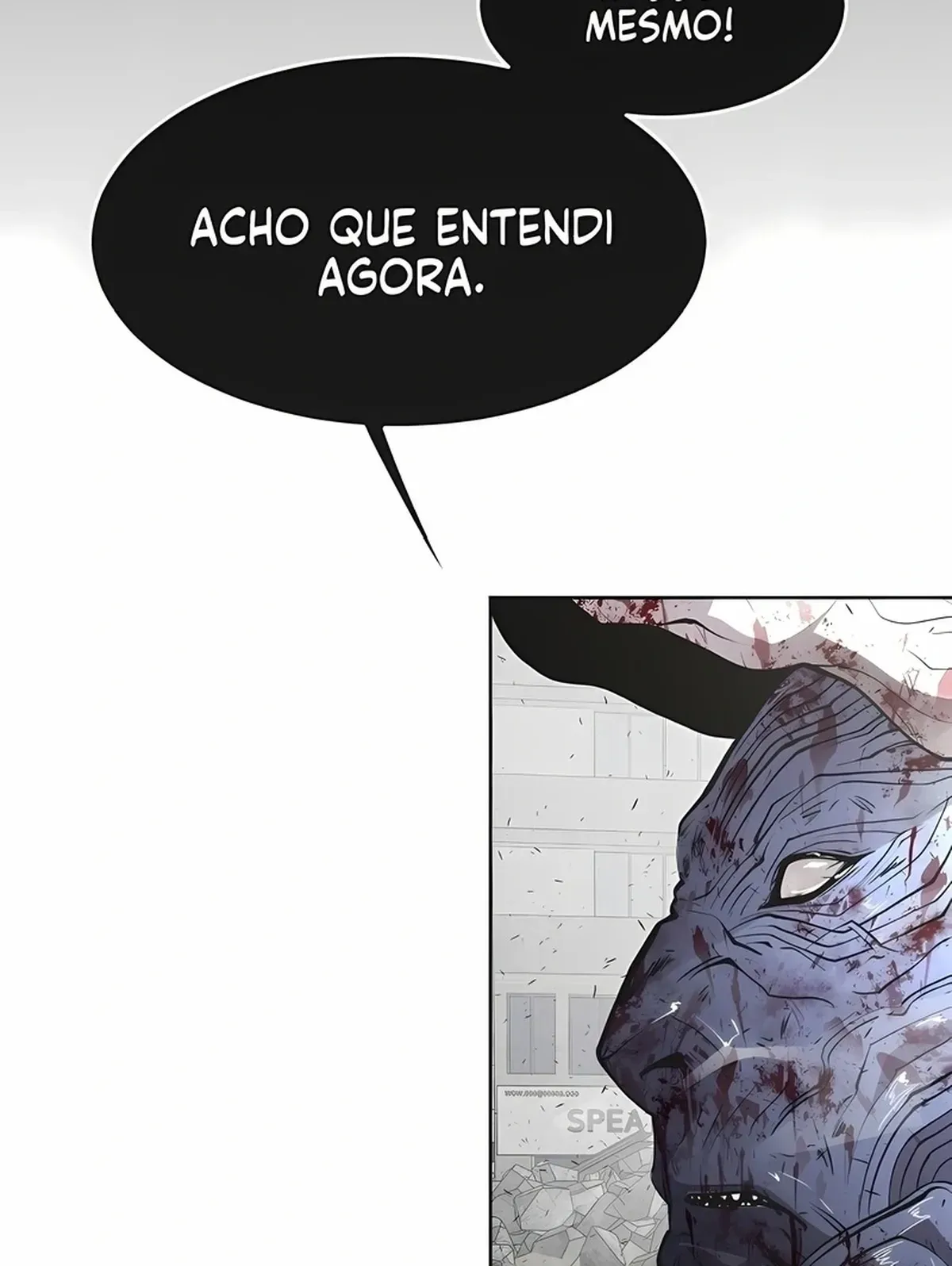 Página 100