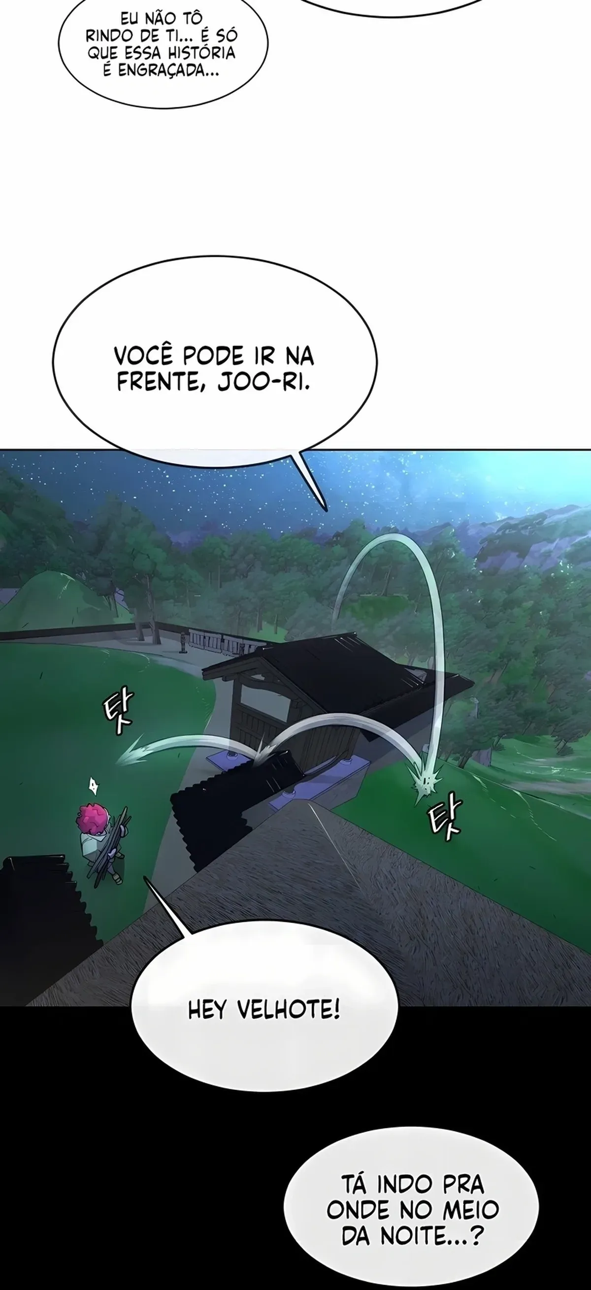 Página 101