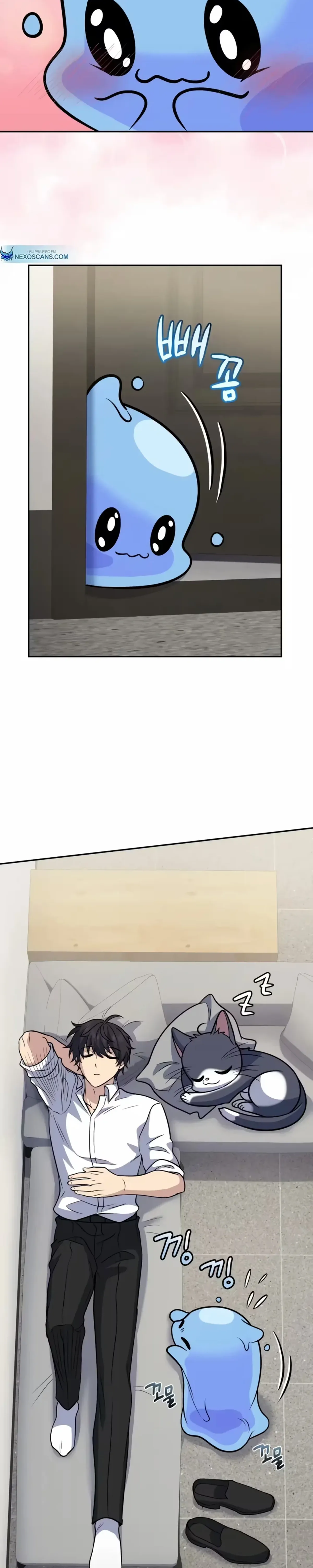 Página 31