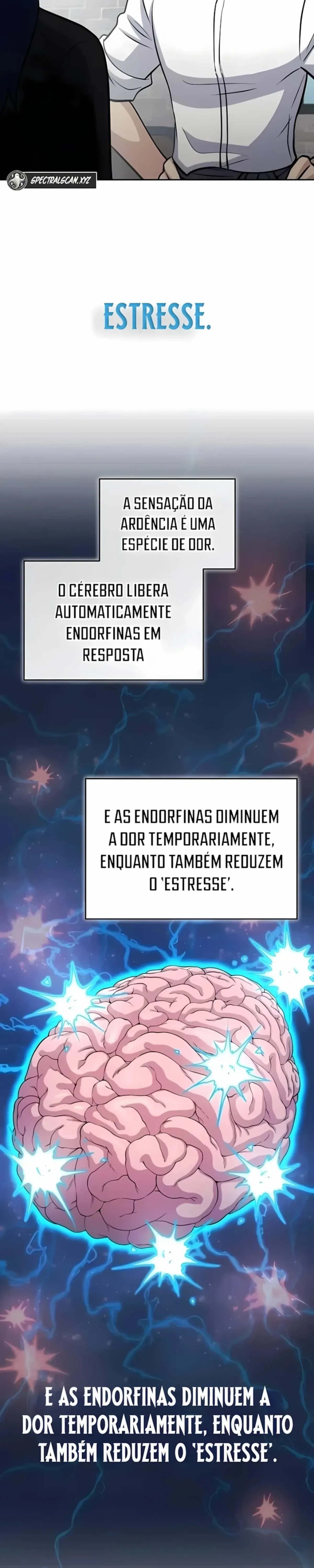 Página 37