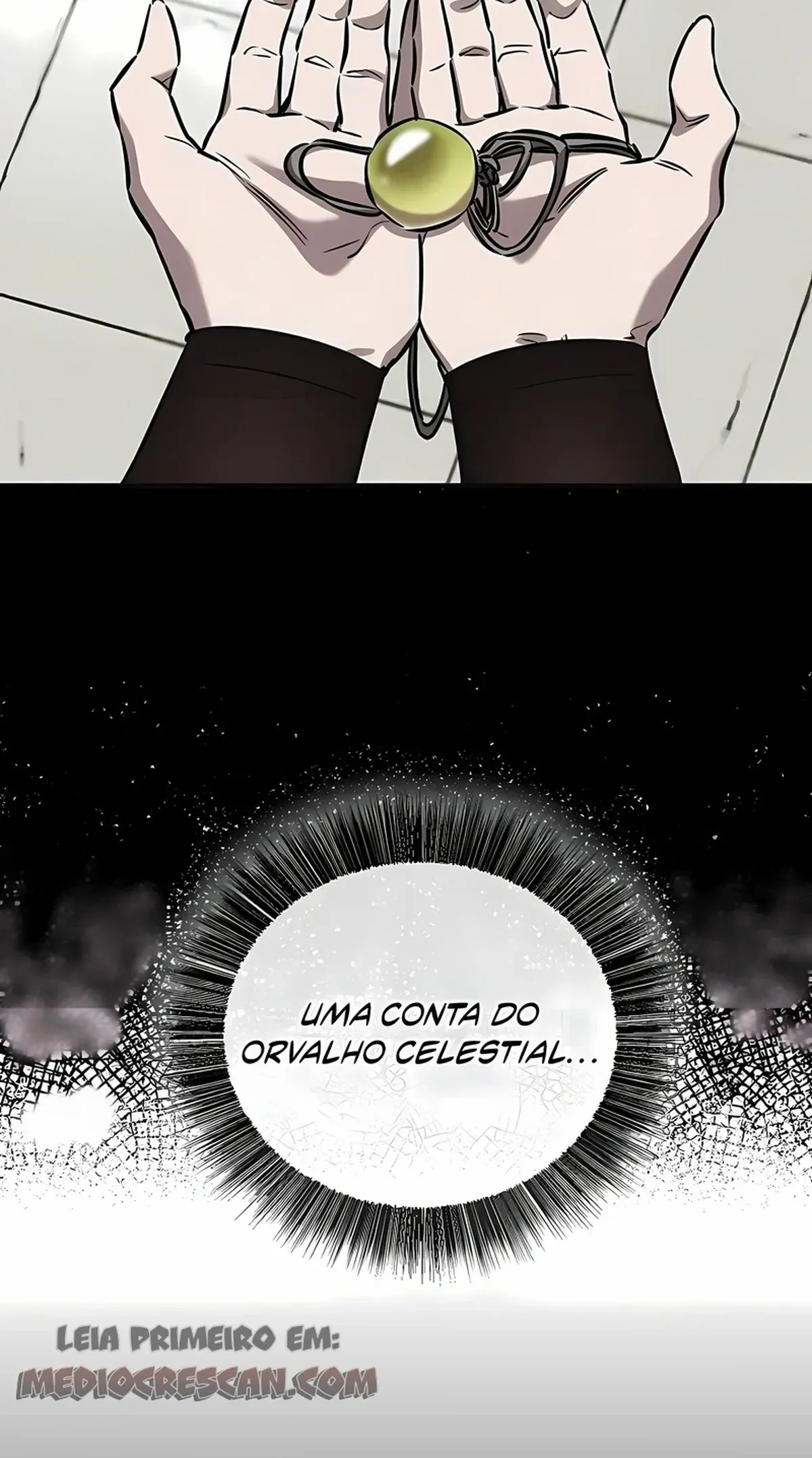 Página 117