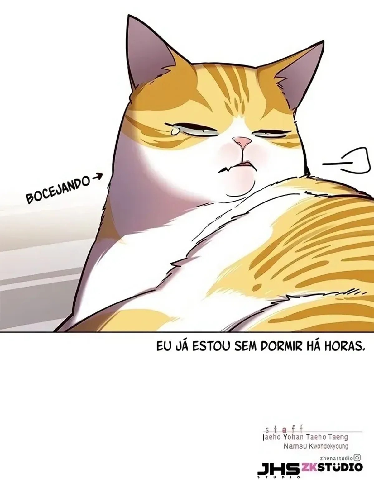 Página 25