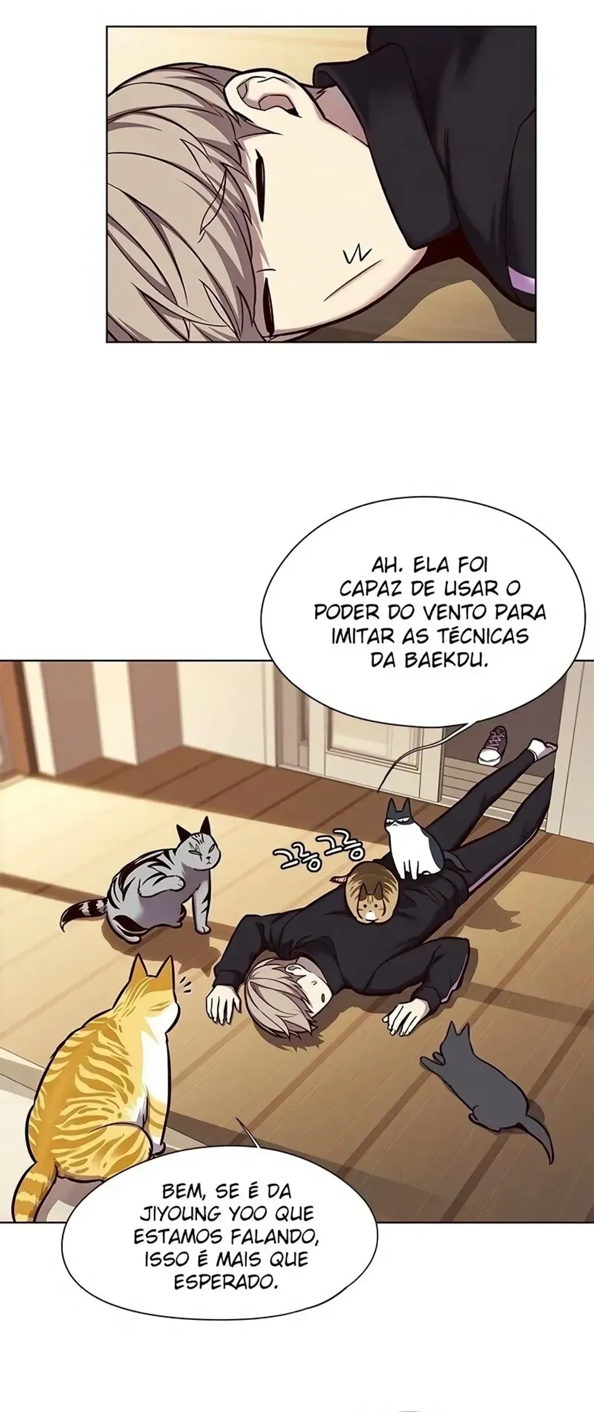 Página 19
