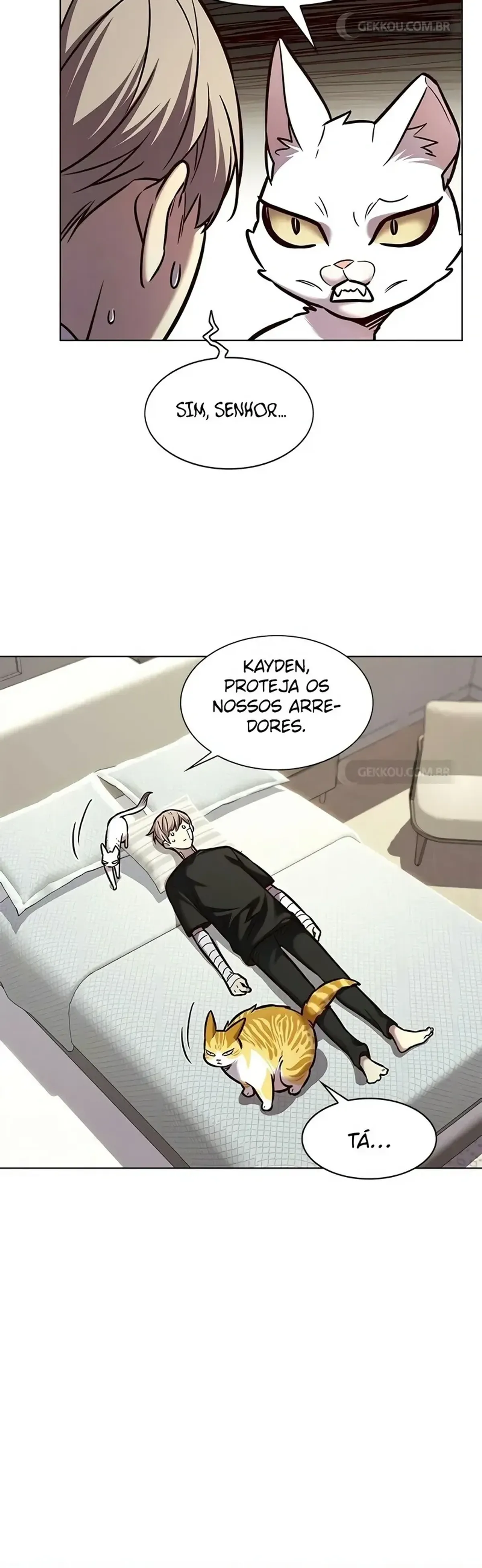 Página 19