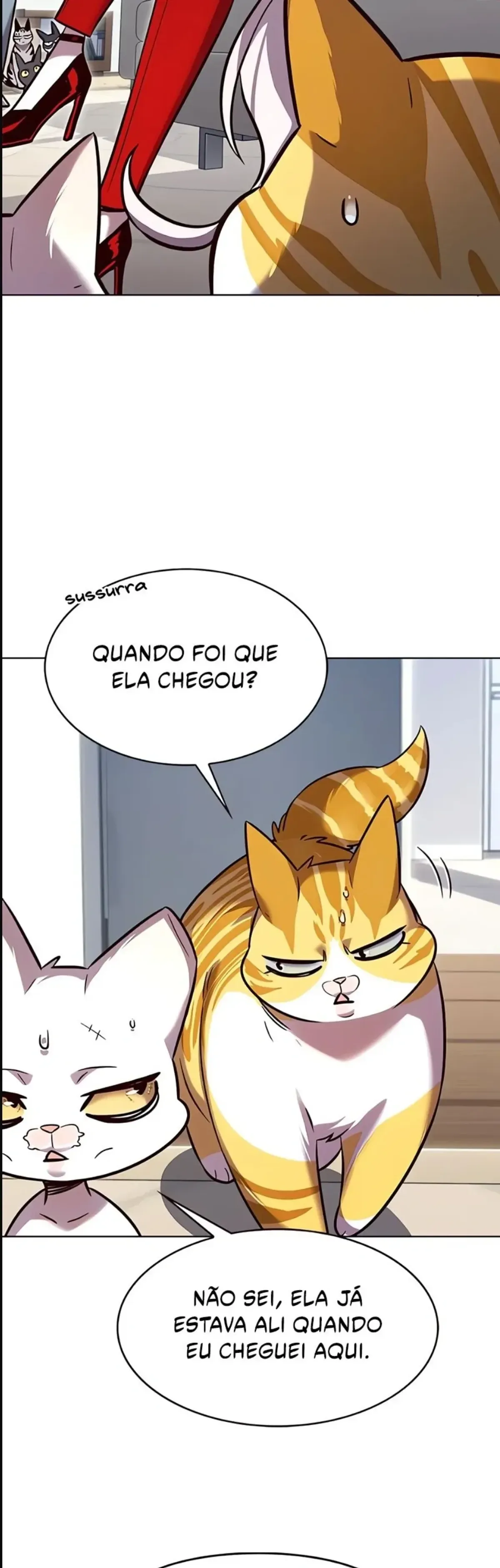 Página 41