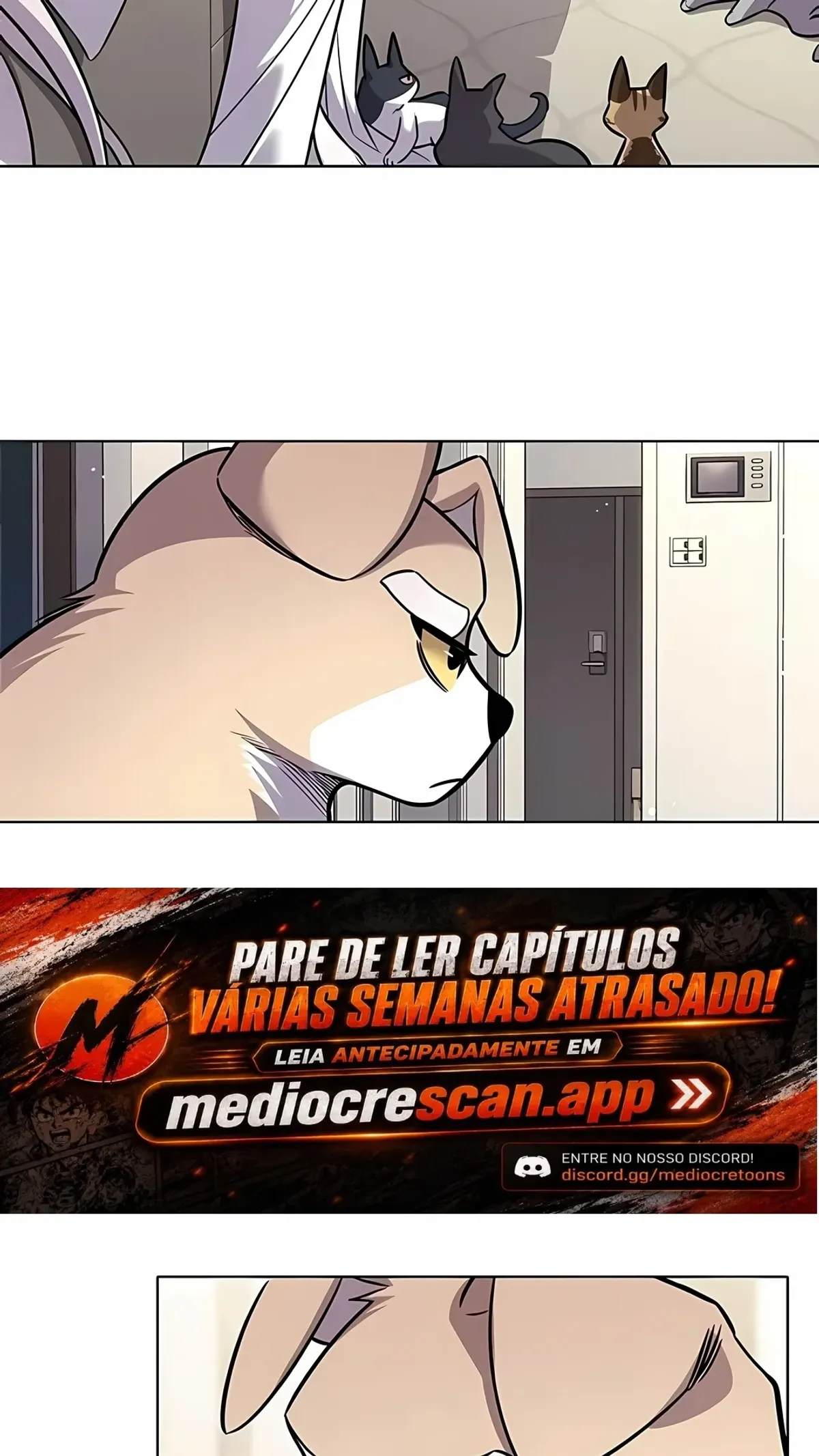 Página 42