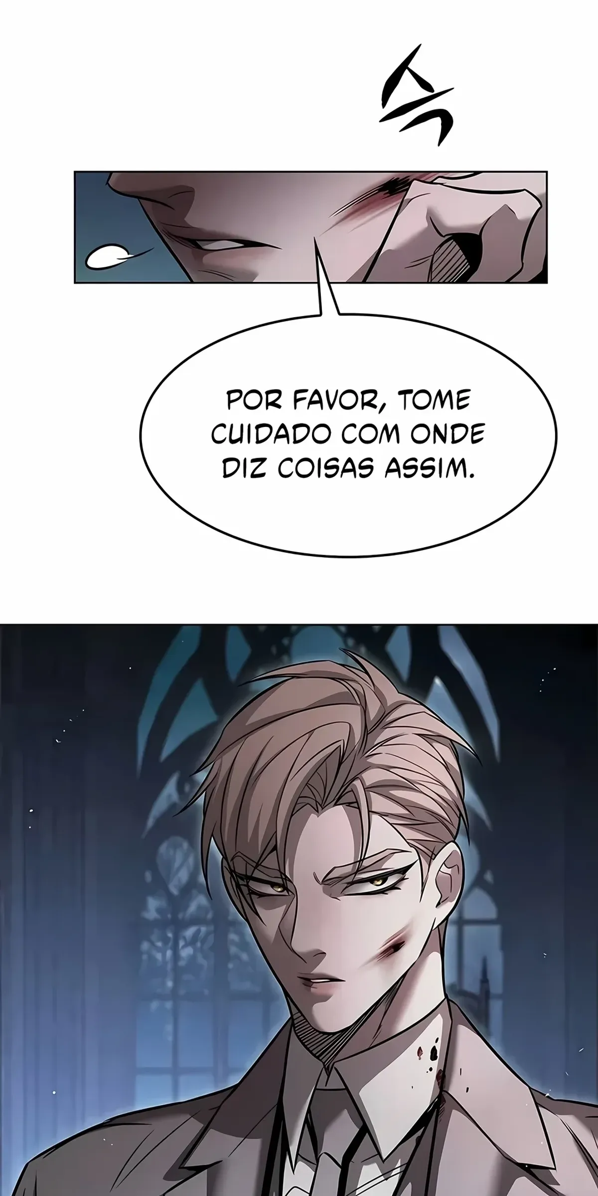 Página 113