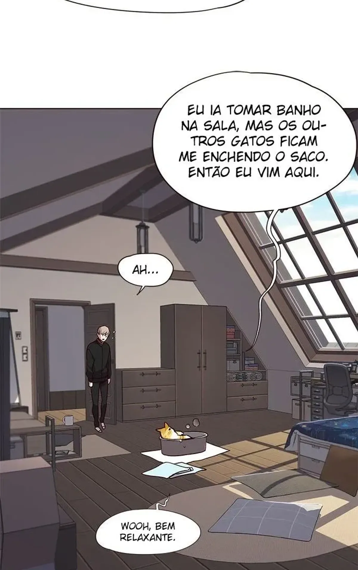 Página 14