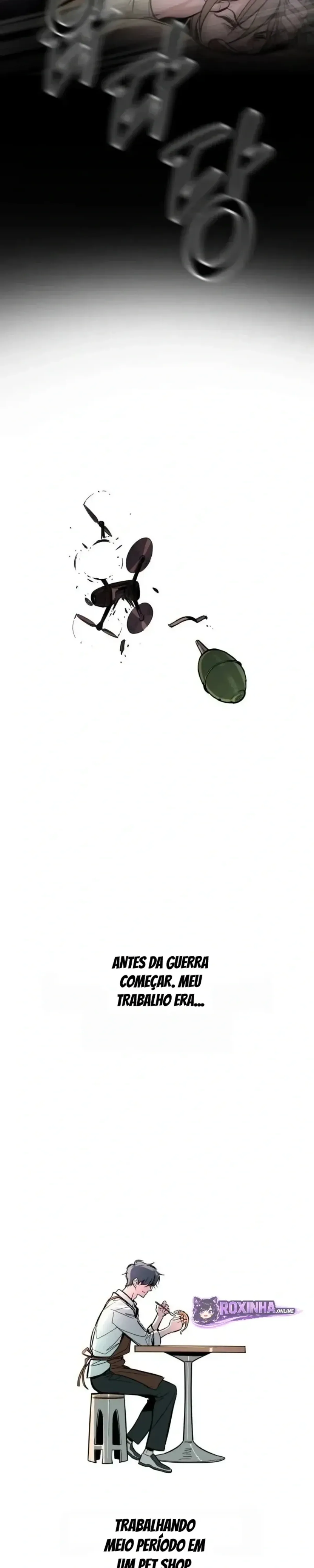 Página 43
