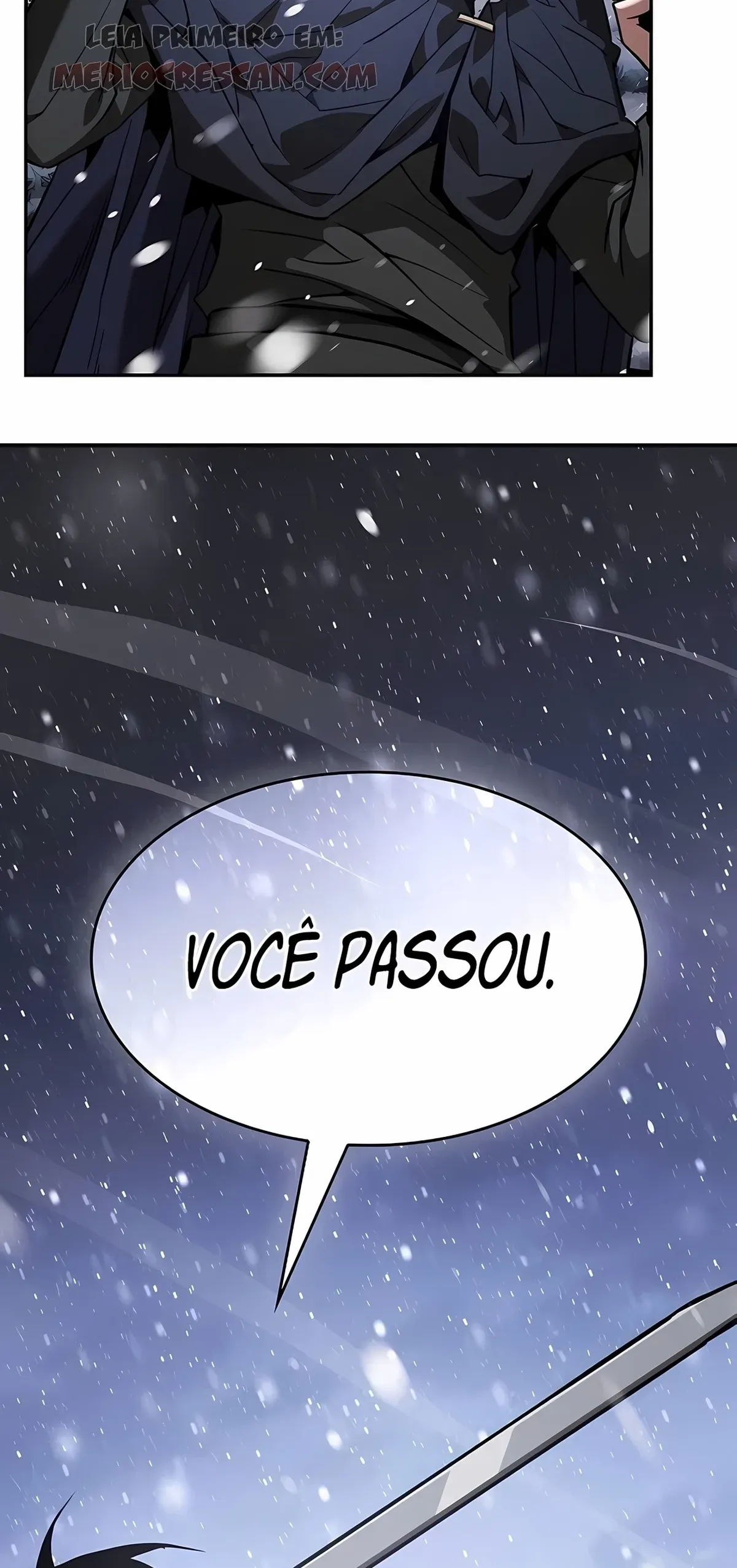 Página 101