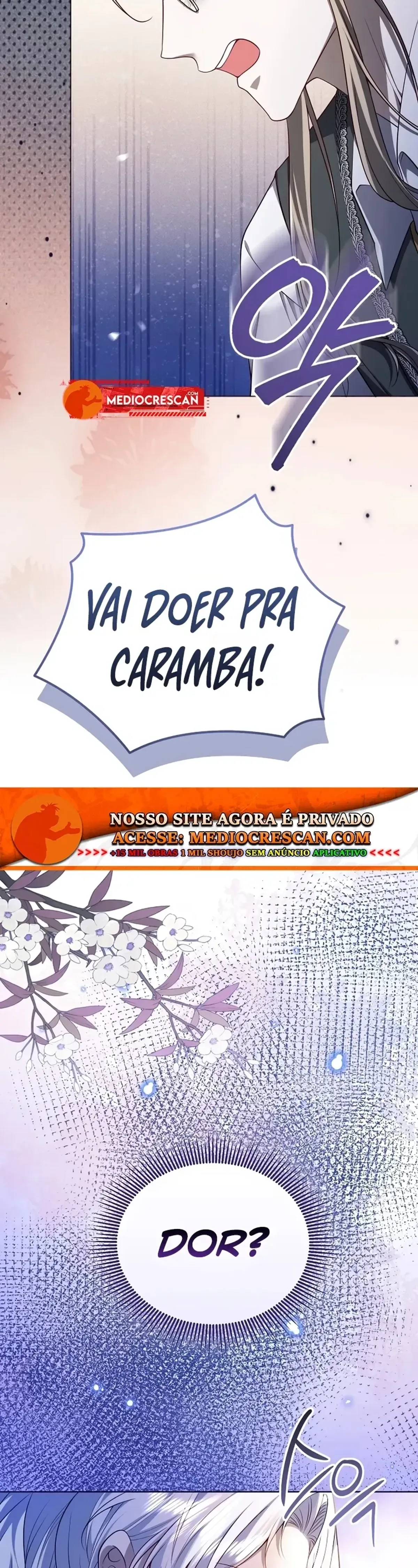 Página 43