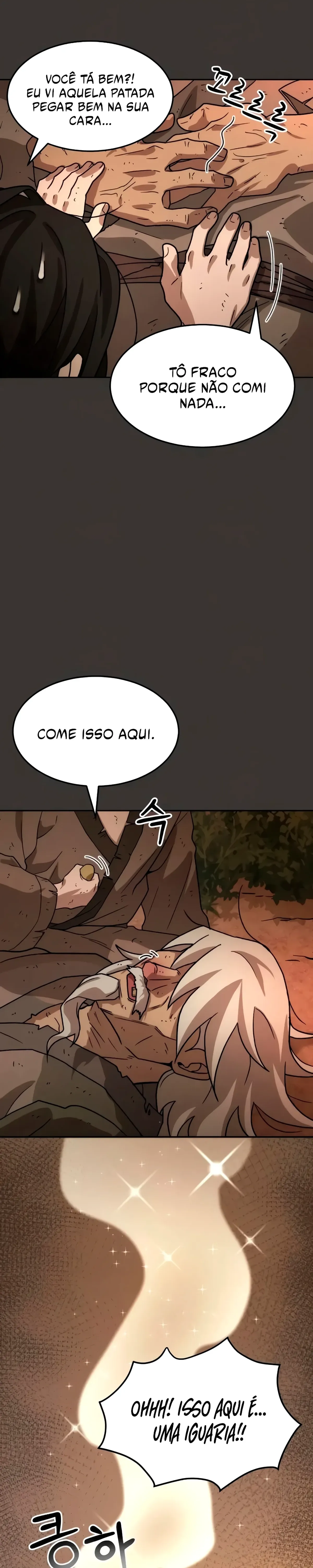Página 29