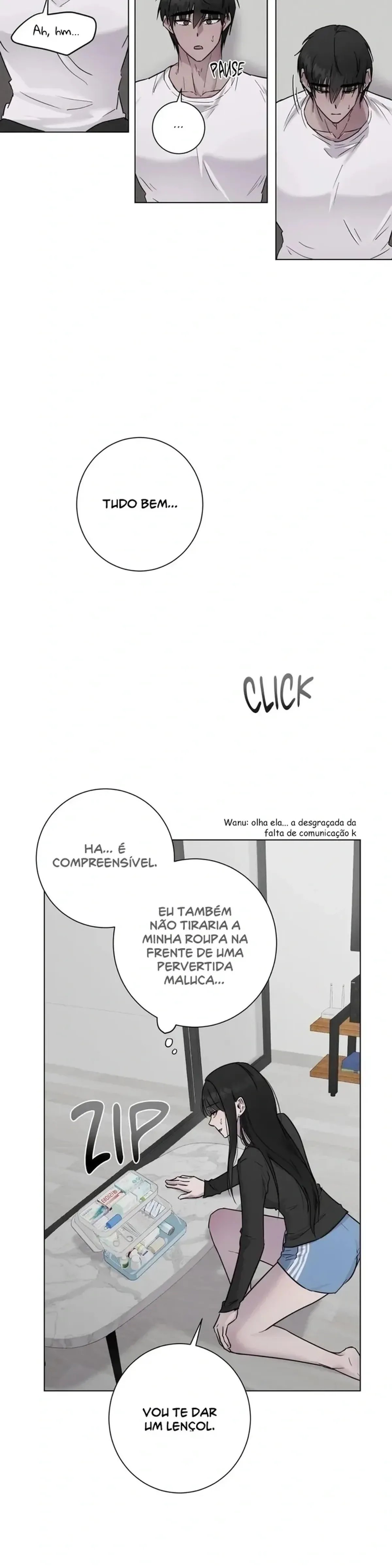 Página 19