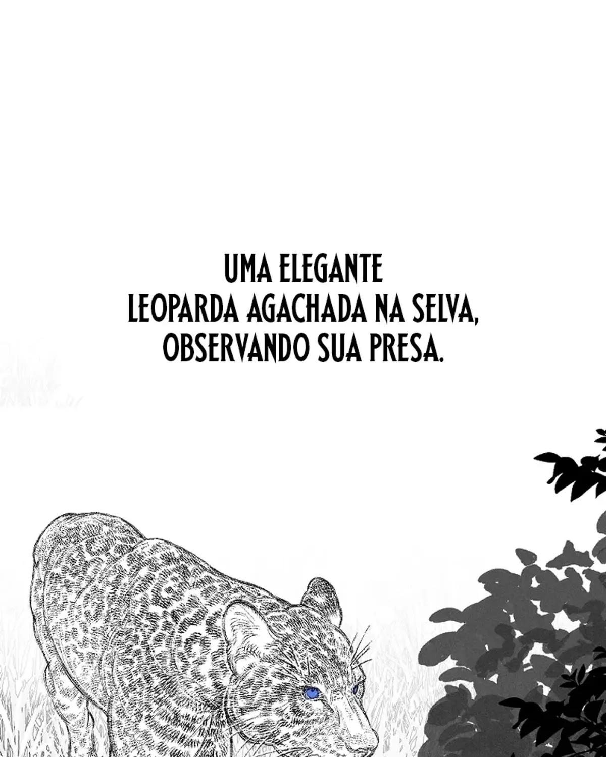 Página 54