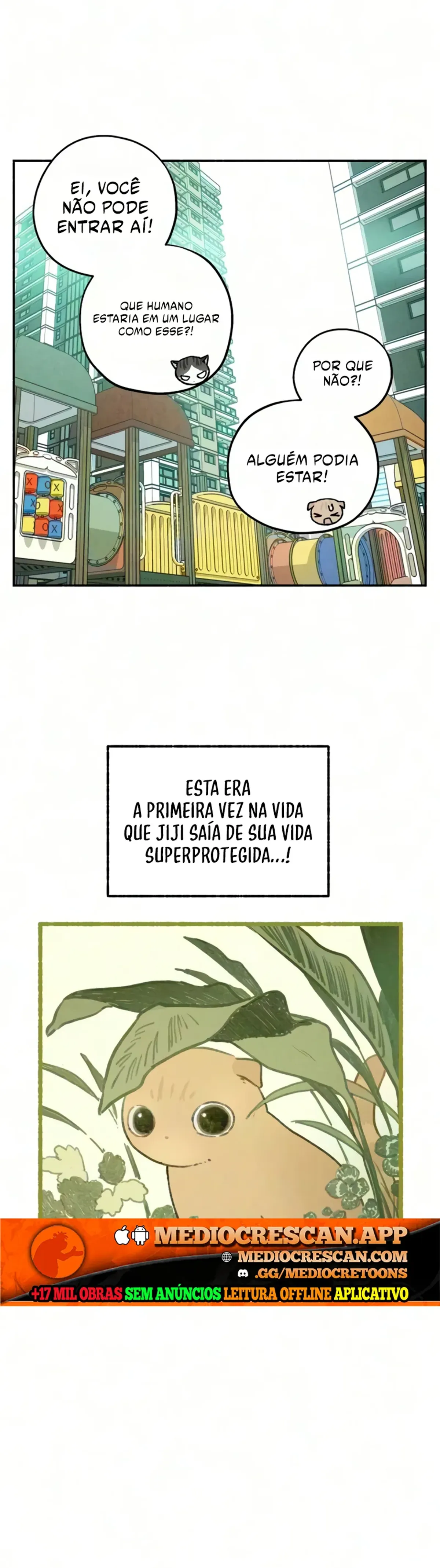 Página 13