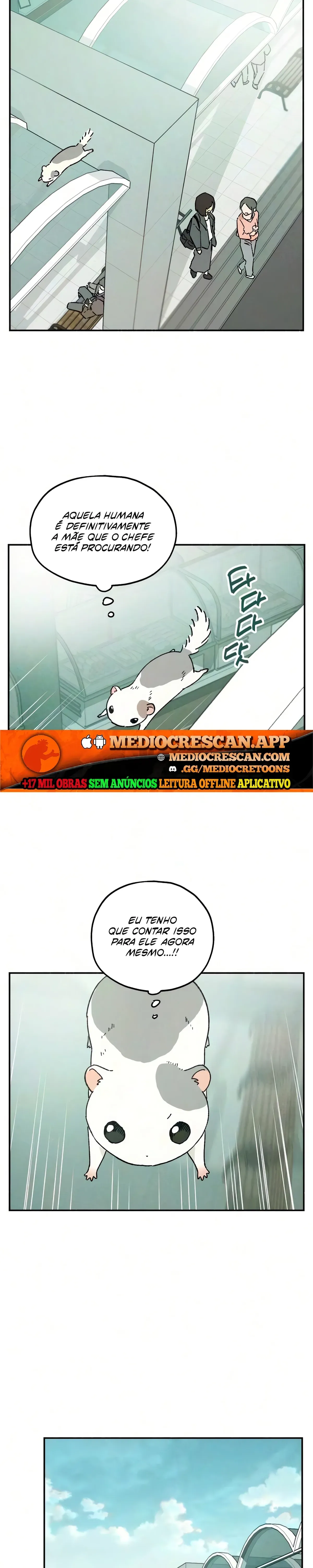 Página 13