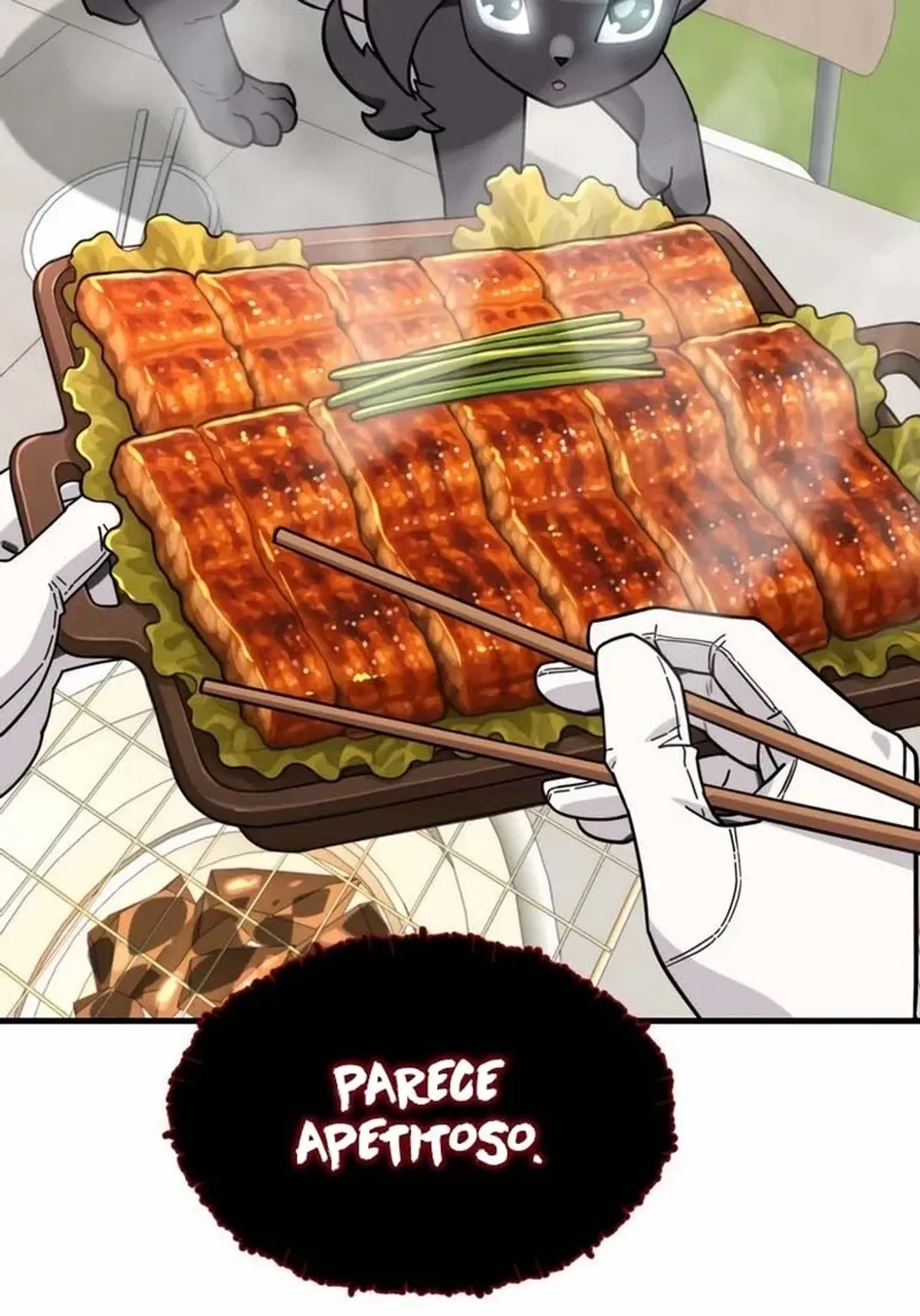 Página 111